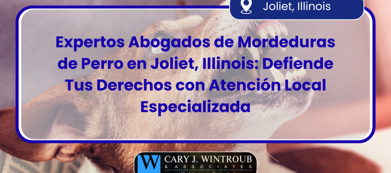 Expertos Abogados de Mordeduras de Perro en Joliet, Illinois: Defiende Tus Derechos con Atención Local Especializada